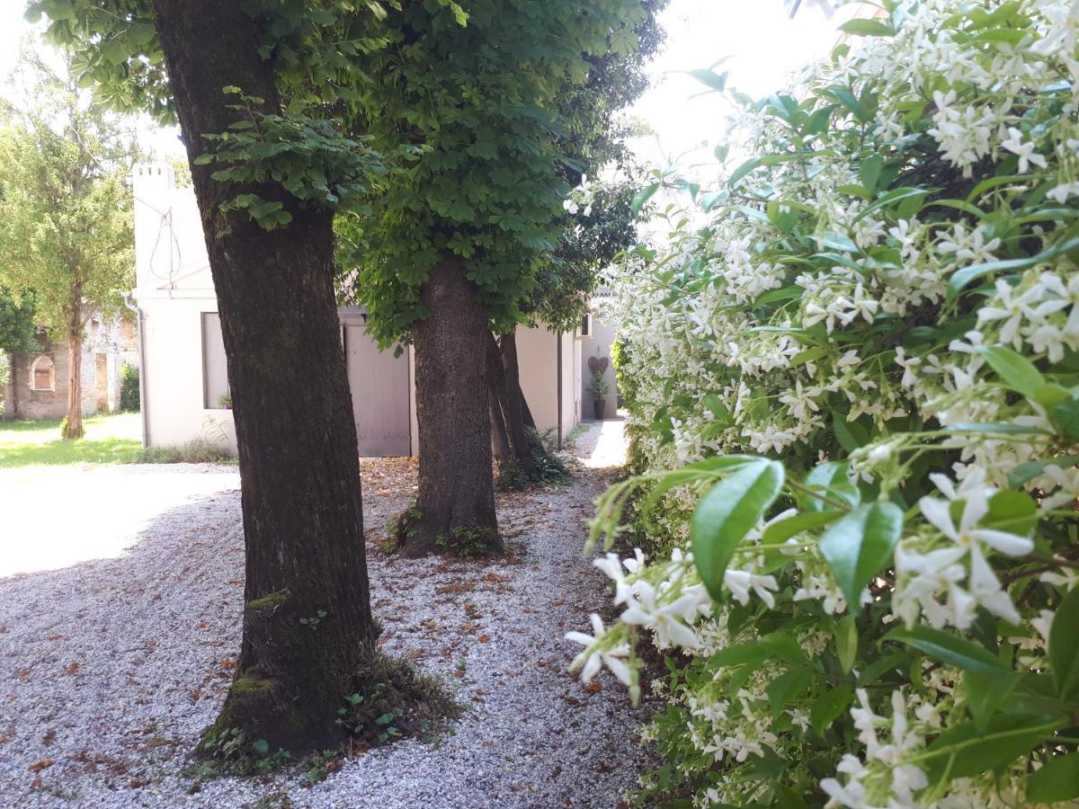 Villa Fiorentino 파도바 외부 사진