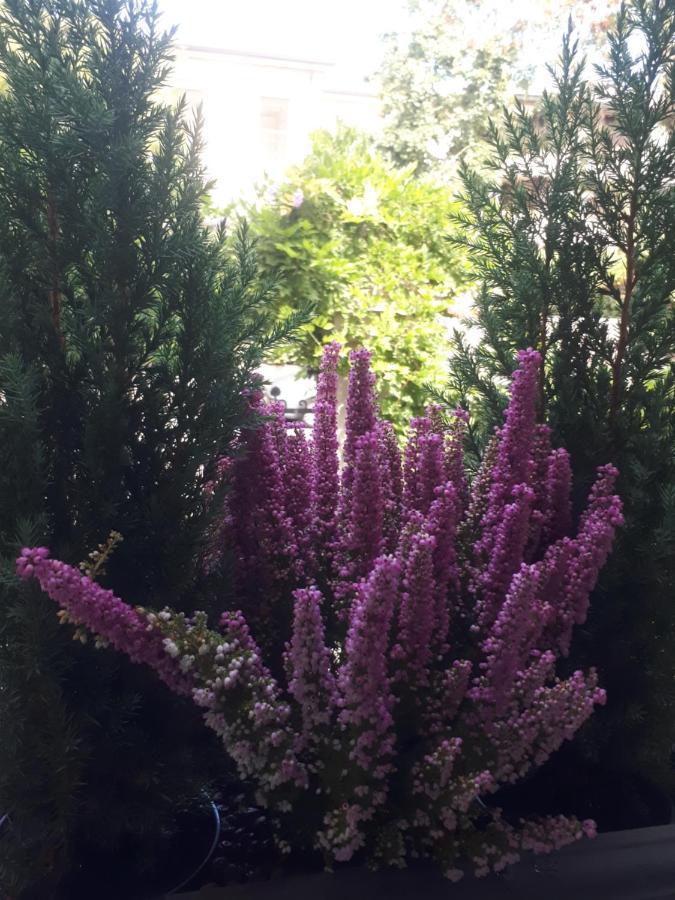 Villa Fiorentino 파도바 외부 사진